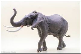 Yiniao Family Zoo Vinyl African elephant 7.jpg