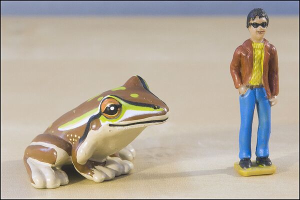 Yowies UK 94 Green & Golden Bellfrog.jpg