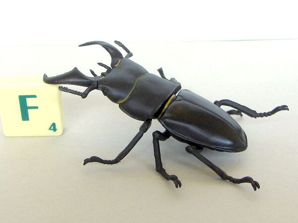 Yujin Giant Stag Beetle.jpg