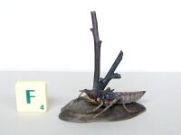 Anotogaster sieboldii (Larva)Secret item