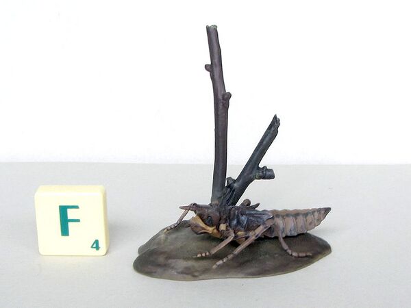 Yujin Great Dragonfly (Larva).jpg