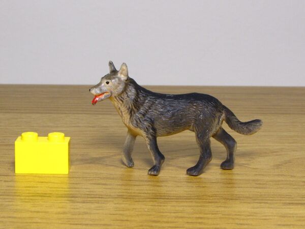ZZ Riesen Dog1.JPG