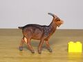 ZZ Riesen Goat1.JPG