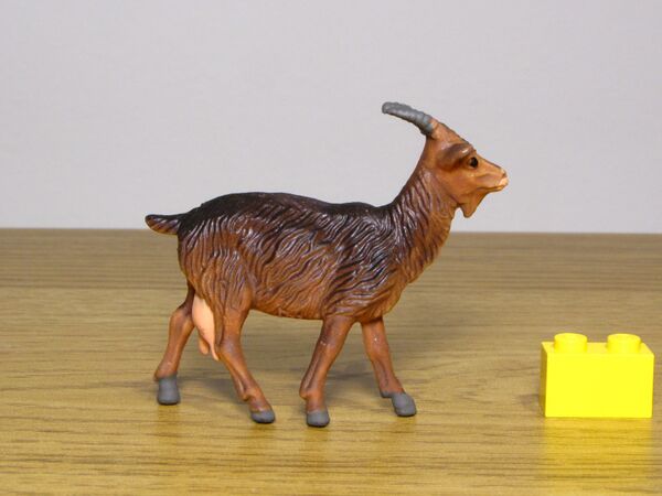 ZZ Riesen Goat1.JPG