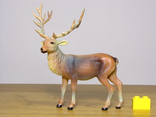 ZZ Riesen Red deer1.JPG