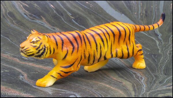 ZZ Riesen Tiger 5.jpg