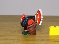 ZZ Riesen Turkey