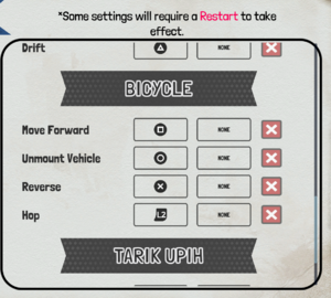Gamepad Bicycle Settings.png