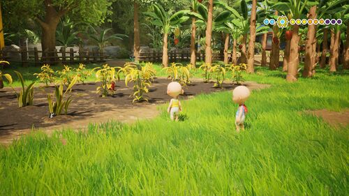 Garden Across Jarjit's House.jpg