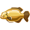 Giant Golden Gourami.png
