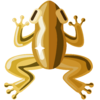 Golden Frog.png