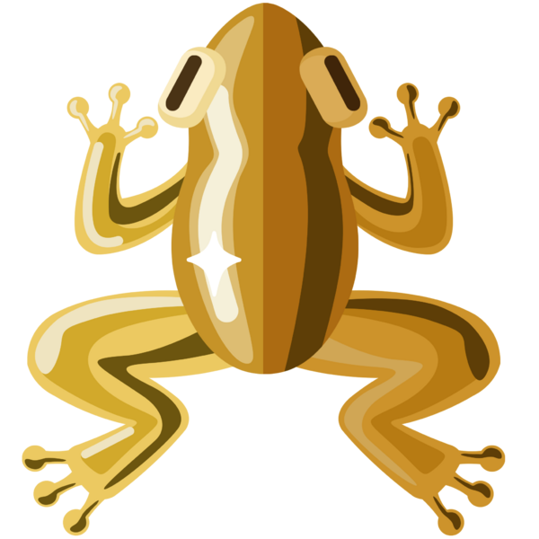 File:Golden Frog.png