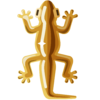 Golden Lizard.png