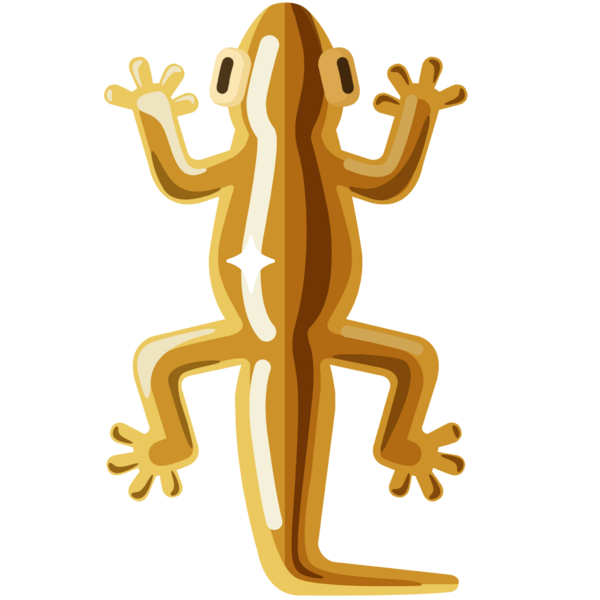 File:Golden Lizard.png