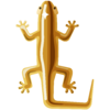 Golden Smooth Lizard.png