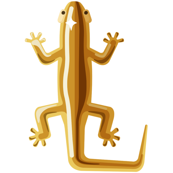 File:Golden Smooth Lizard.png