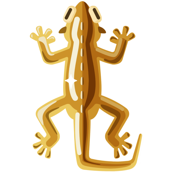 File:Golden Spiky Lizard.png