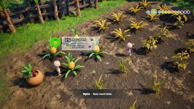 File:Ready to Pollinate.jpg