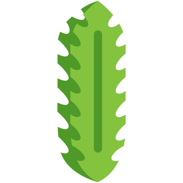 File:Ripe Four-angled Bean.png