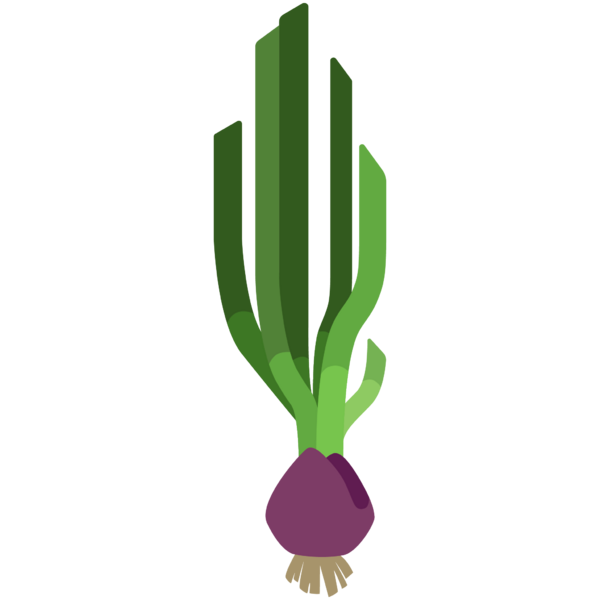 File:Ripe Onion.png