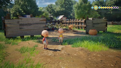 Tok Dalang's Garden.jpg