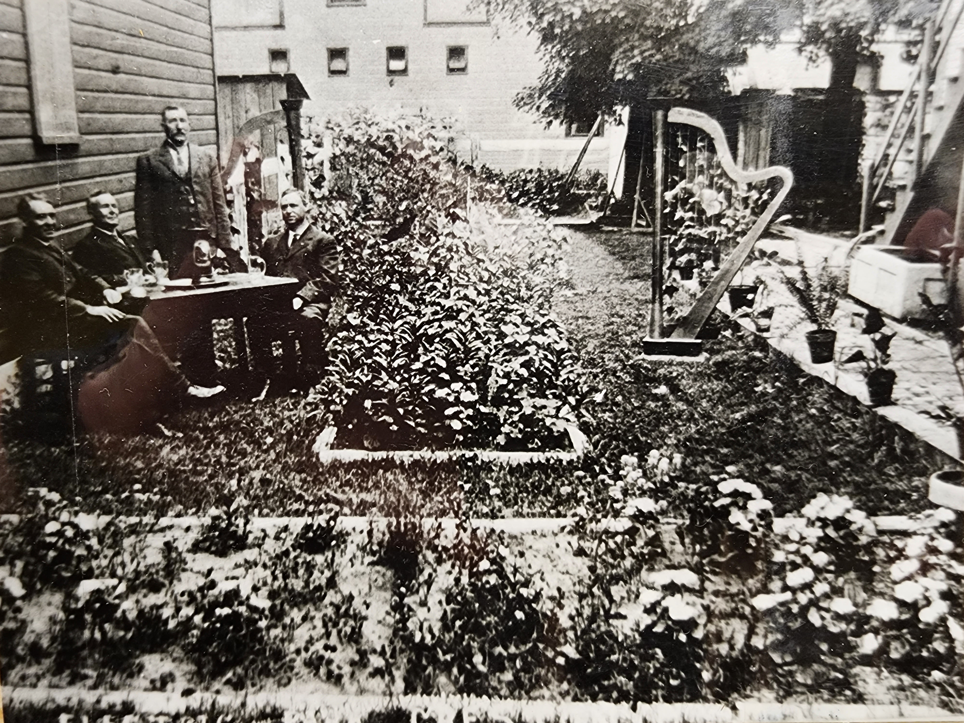 Electric Park.jpg