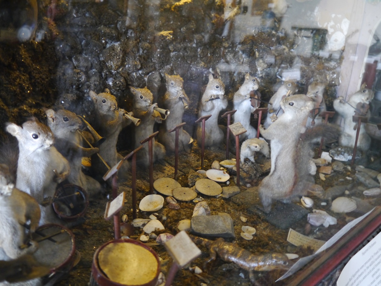 P1050345.jpg