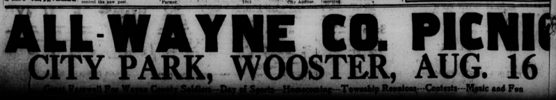 File:All Wayne County Picnic WDN19170810p4.png