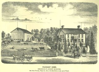 AndrewMilbourn1873 p79.jpg