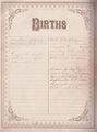 Births record S and E. Naftzger Family Bible.jpg