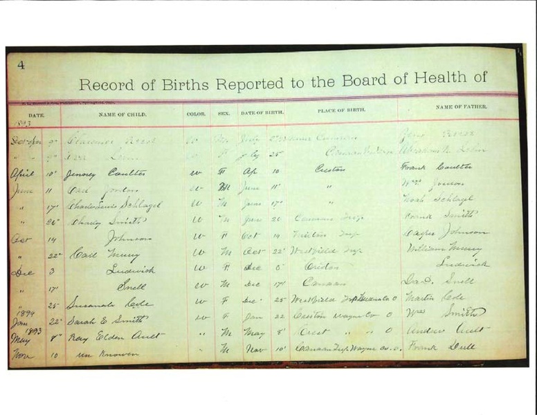 File:CanaanTwpBirths-compressed.pdf