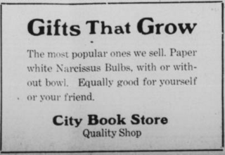 City Book Store WR19191124p6.png