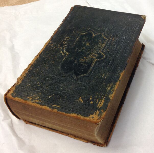 File:Cover 2, Swartz-Immel Family Bible.JPG