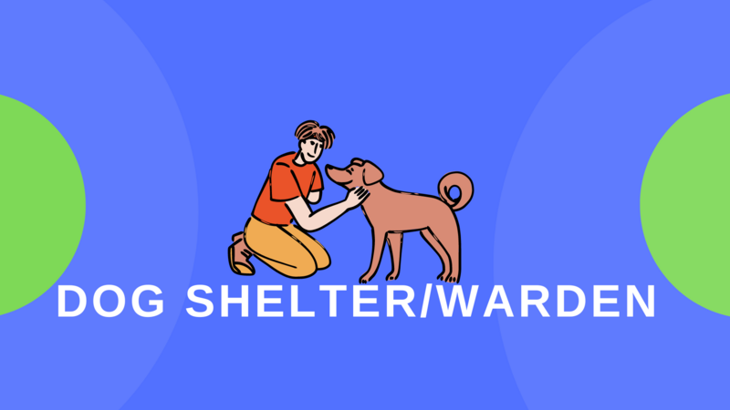 File:Dog shelter covpic.png