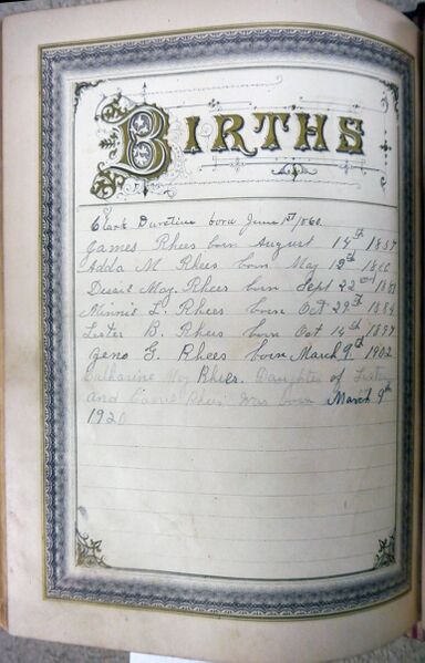 File:Durstine-SwinehartBible-Births.jpg