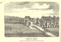 Fountain Hill Nursery