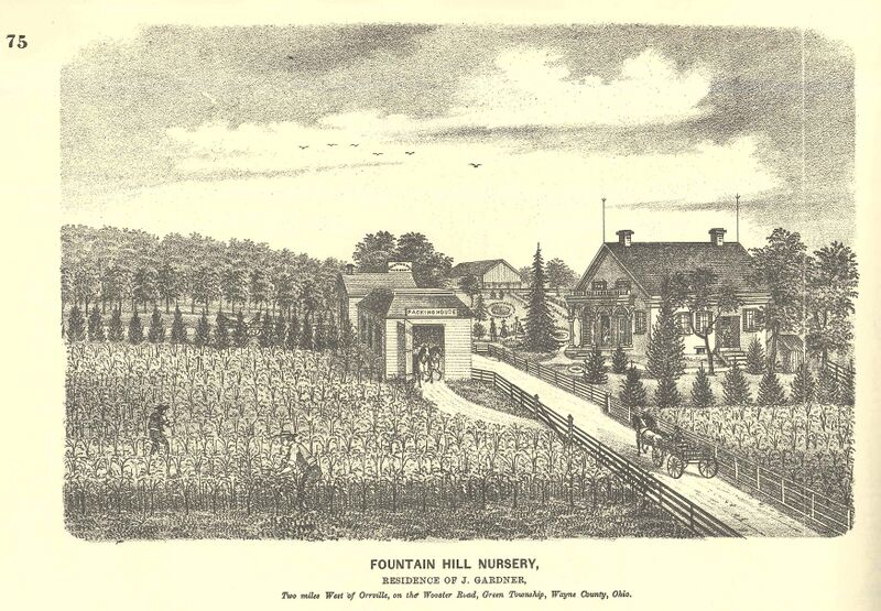 File:Fountain Hill Nursery.jpg