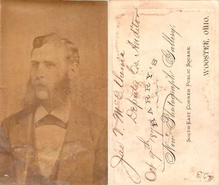 File:McElhenieJamesV-Auditor.jpg
