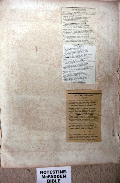 File:McFaddenNotestineBible-Pg04.jpg