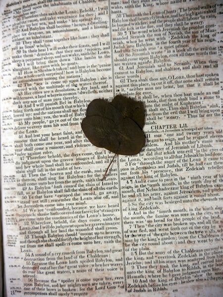 File:McFaddenNotestineBible-PressedClover.jpg