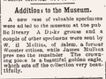 A case containing a Disky Grouse and a couple of other specimens donated by W. H. Mullins of Salem, Ohio. The crowning piece a beautiful golden eagle in 1906.