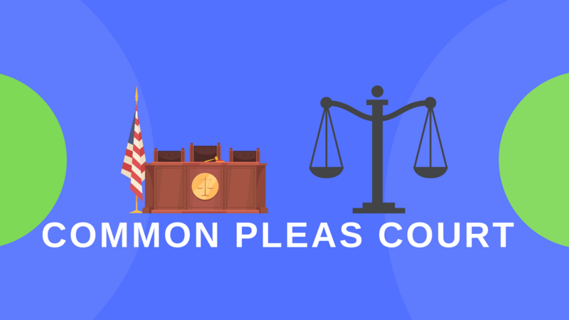 File:Pleas court covpic.png