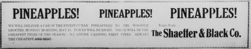 File:Schaeffer & Black Company WR19190515p3.png