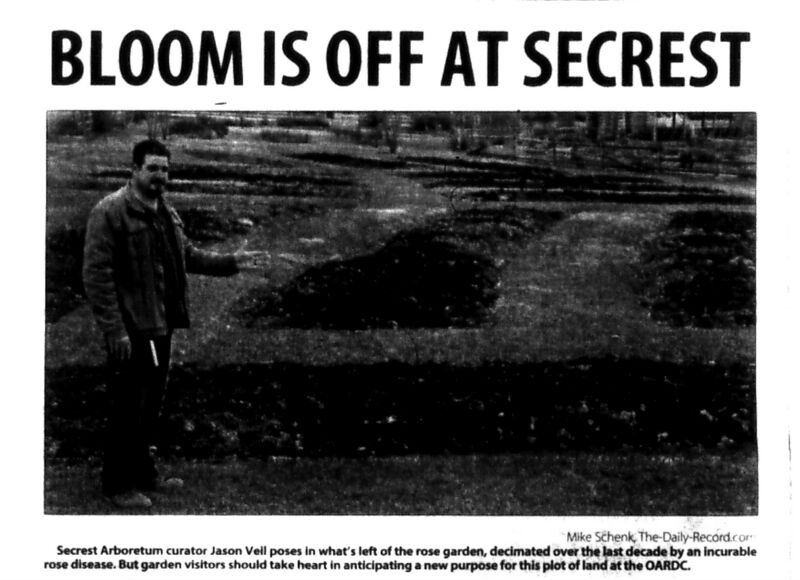 File:Secrest-bloom-off-DR-2019-Mar-18-pt1.jpg