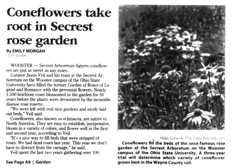 File:Secrest-coneflowers-DR-2020-Jul-17-pt1.jpg