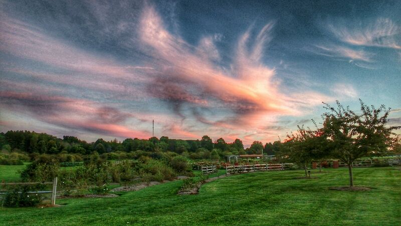 File:Secrest sunset clouds.jpg