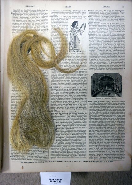 File:SharpBible-HairInsert.jpg
