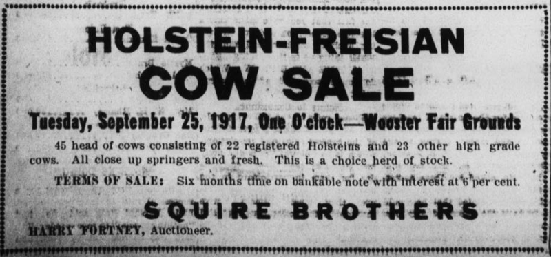 File:Squires Brothers WDN19170919p2.png