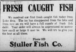 Stuller Fish WR19170322p2.png