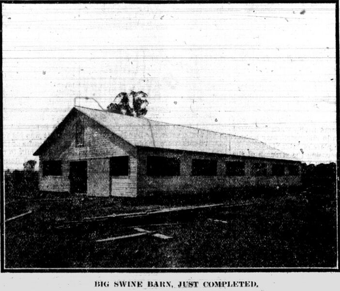 File:WaCoFair-1912-SwineBarn.jpg